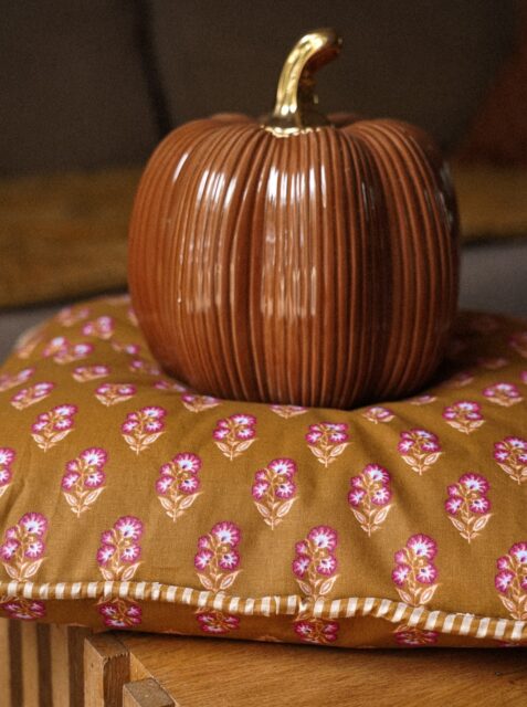 L’automne s’installe doucement à la maison 🍂🤎🎃

J’ai cousu deux coussins dans cette jolie cretonne que j’avais déjà utilisée pour mon trousseau Noria. Je trouve qu’elle est idéale pour cette saison 🥰

J’avais prévu de faire des froufrous avec le vichy… mais après avoir galéré à froncer mes 4 mètres de tissu 😬, changement de programme : j’en ai fait du passepoil !

Et finalement, je les préfère comme ça 😍

Tissus @mondialtissus

#diycouture #couture #tutocouture #decoautomne #autumn2026
Photo 2 uniquement : IA